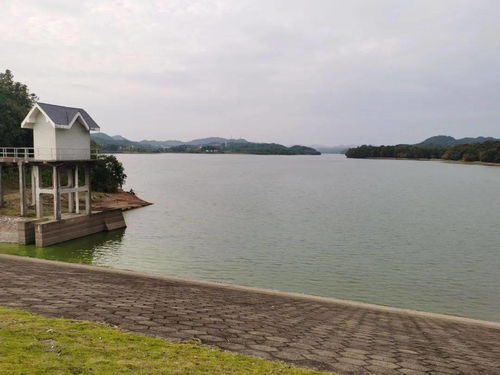 华体会游戏主页
多少钱一立方