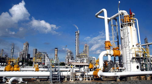 华体会游戏主页
碘值那么低