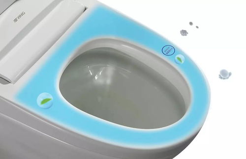 toto马桶后面两个孔冒臭气