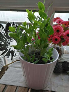 活性炭用完之后还有什么用