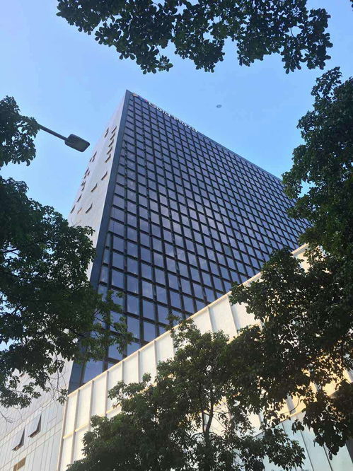 工业活性炭价格多少一吨