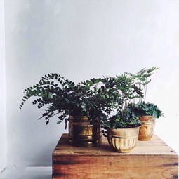 汽车活性炭过滤器的作用