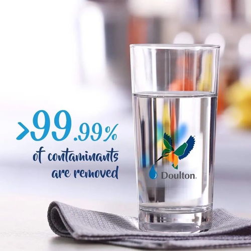 英国真有道尔顿净水器吗