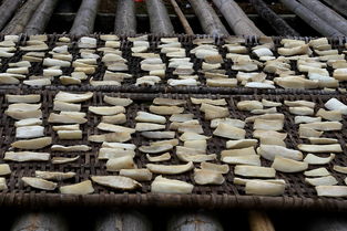 活性炭在干燥环境下用晒吗