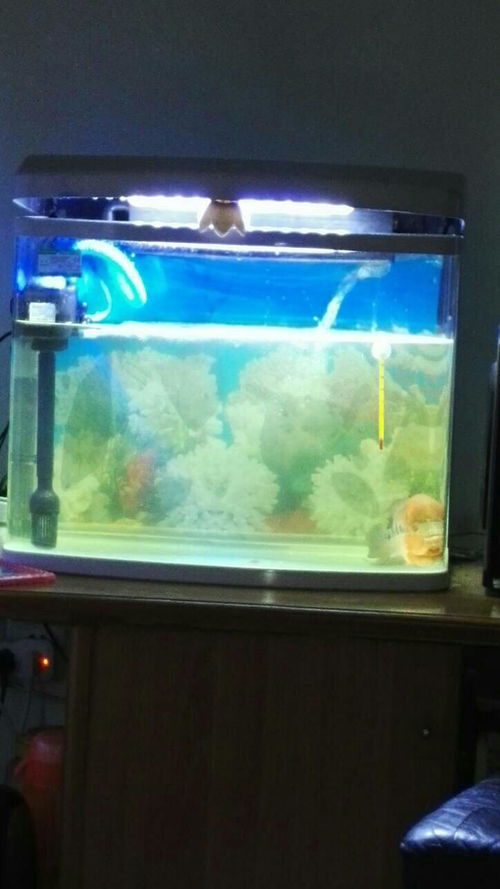 陶瓷过滤和活性炭过滤的区别