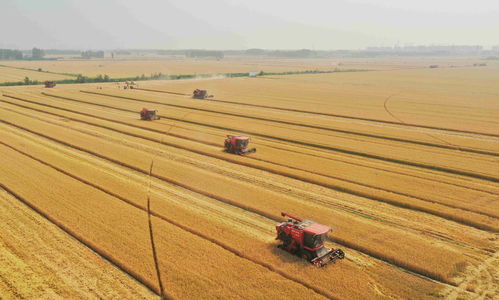 华体会游戏主页厂家联系方式