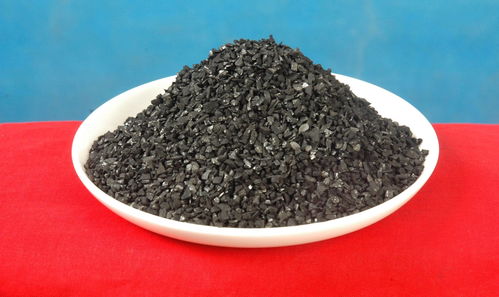 活性炭可以吸附哪些气体