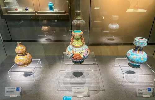 景德镇市辉信华体会游戏主页厂招聘