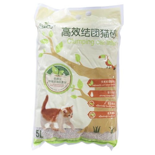 除醛净味活性炭能用多久