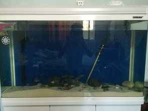 鱼缸过滤用活性炭污染水吗