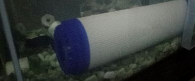 鱼缸用活性炭摆放