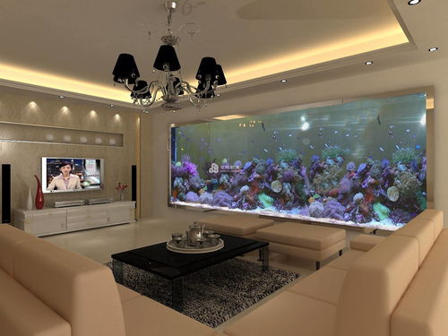 鱼缸过滤材料活性炭怎么摆放