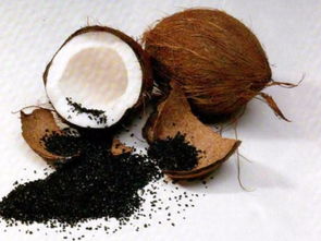 活性炭回收处理公司