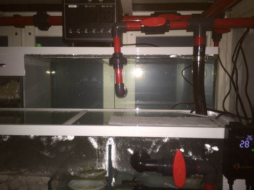 鱼缸过滤加活性炭的利弊