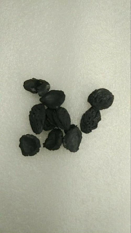 水井能用活性炭吗