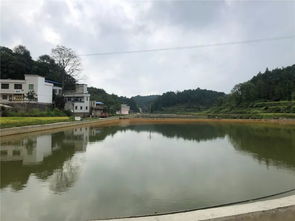 一包活性炭可以用多久