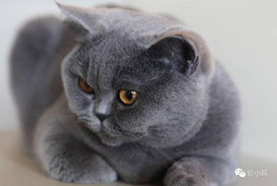 活性炭什么牌子的好效果好