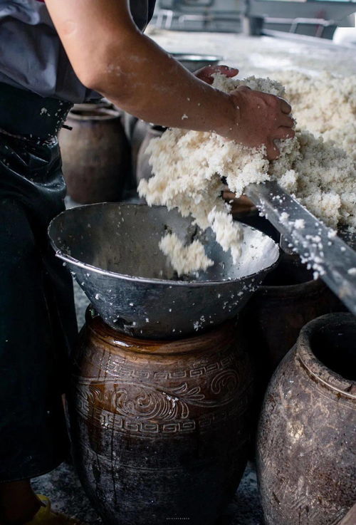 活性炭放在花盆里花会怎么样