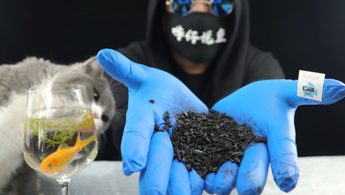 食用活性炭的功效和注意事项