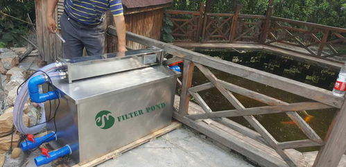 鱼缸为什么不建议放活性炭