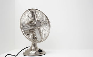 去甲醛放活性炭要开窗吗