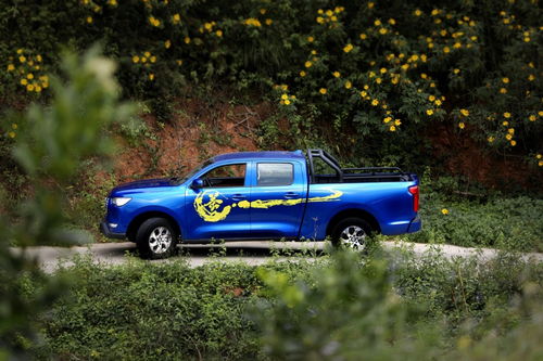 活性炭和茶叶能不能放在一起