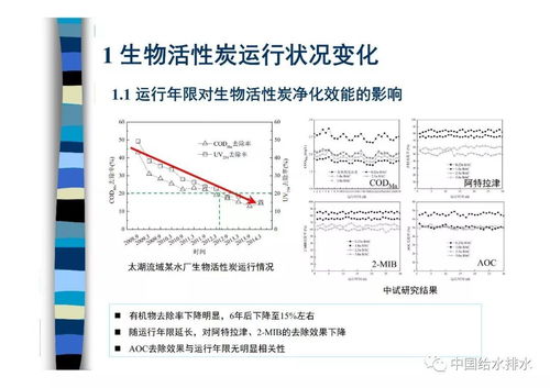 活性炭在中药制剂中的应用