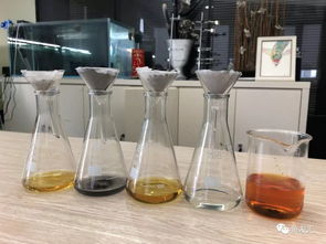 鱼缸用活性炭的好处有哪些