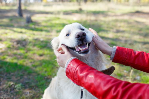 一个房间放几包活性炭