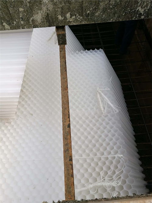 椰壳活性炭价格多少一吨