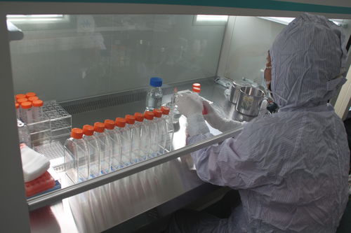 注射剂中加入活性炭的作用