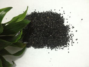 什么煤可以做活性炭