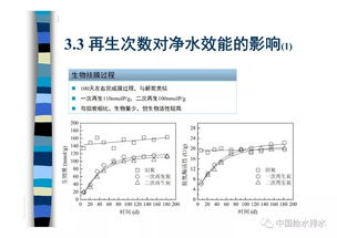 深圳生物活性炭批量购买公告