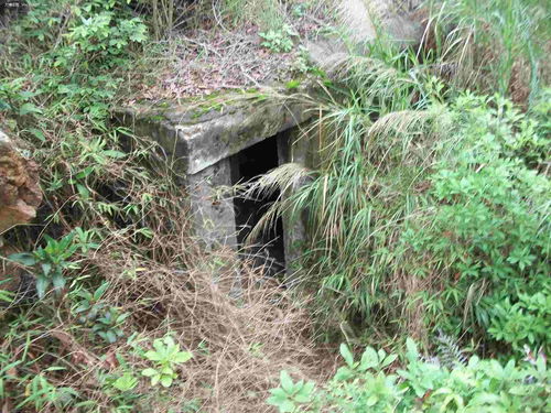 深圳原生态活性炭公司地址