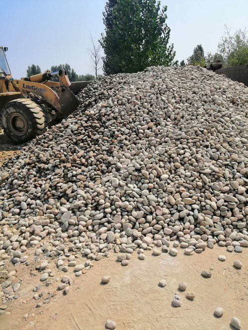 惠州活性炭批发商电话号码