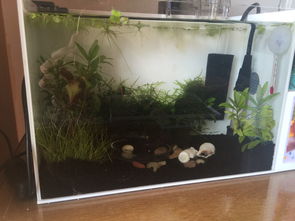 深圳中纺滤材科技有限公司