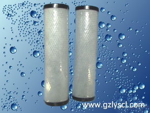 一体式颗粒活性炭滤芯