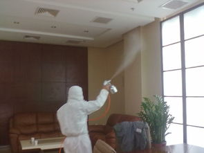 江门活性炭室内除甲醛公司