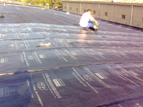 华体会游戏主页 宜选郑赢环保