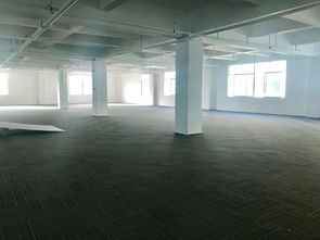 深圳市龙岗区买活性炭