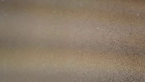 江门江海区活性炭生产厂家